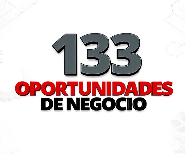 133 oportunidades de negocio