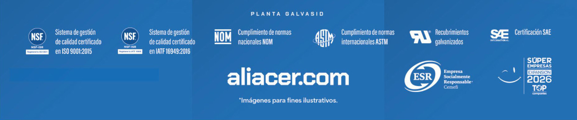 Aliacer