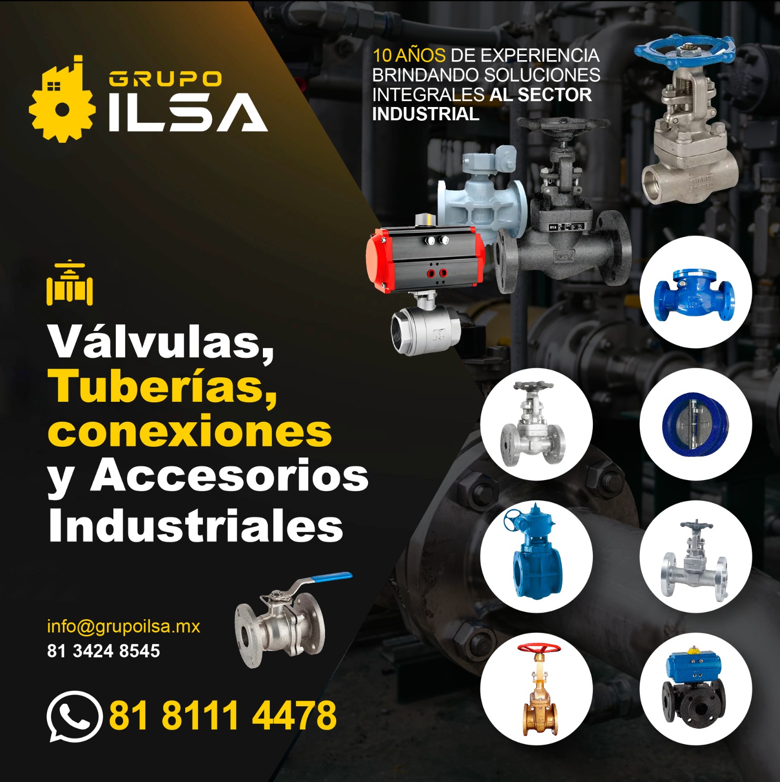 Grupo ILSA