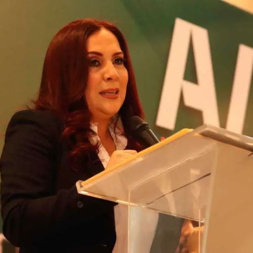 Eunice Romero, presidenta de la Asociación Mexicana de Profesionales Inmobiliarios (AMPI) sección Metropolitana Colón, Querétaro, indicó que esta demarcación se ha convertido en un polo de desarrollo industrial.